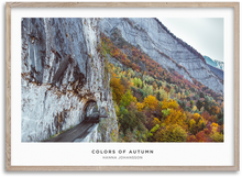 Load image into Gallery viewer, Colors Of Autumn
