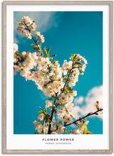 Load image into Gallery viewer, Flower Power
