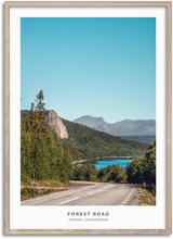 Load image into Gallery viewer, Forest Road

