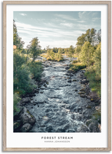Load image into Gallery viewer, Forest Stream
