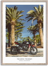 Load image into Gallery viewer, Triumph Trident

