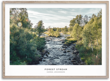 Load image into Gallery viewer, Forest Stream
