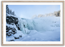 Load image into Gallery viewer, Frozen Beauty

