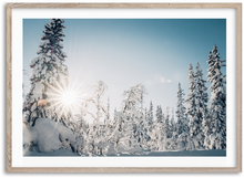 Load image into Gallery viewer, Lapland Forest
