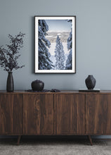 Load image into Gallery viewer, Pines Of Winter
