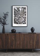 Load image into Gallery viewer, Frozen Treetops
