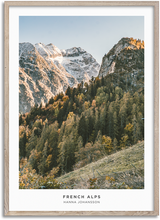 Load image into Gallery viewer, French Alps
