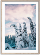 Load image into Gallery viewer, Winter wonderland
