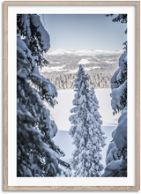 Load image into Gallery viewer, Pines Of Winter
