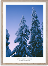 Load image into Gallery viewer, Winter Evening
